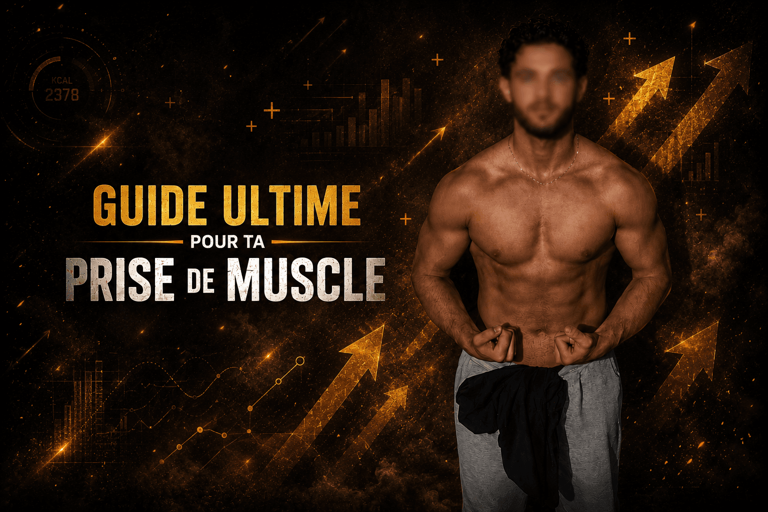 Ebook Prise de Masse